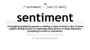 sentiment meaning